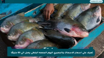 تعرف على أسعار الأسماك والجمبري اليوم الجمعة البلطي يصل إلى 80 جنيهًا
